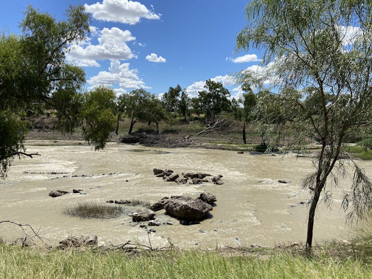 Outdoor view of river with traditional Indigenous fish traps in the water.