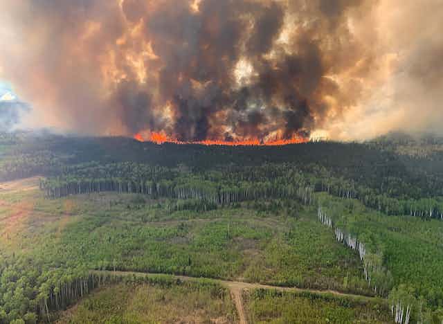 A wildfire in a prairie forest