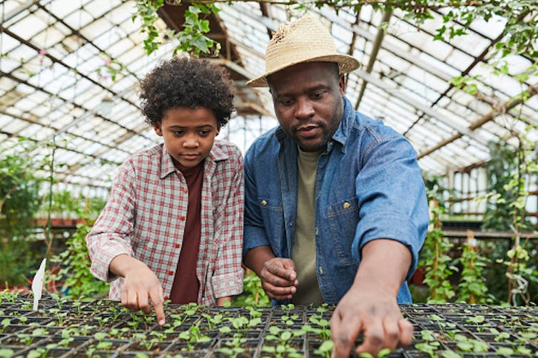 A man and adolescent work in a greenhouse.