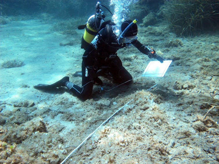 A diver in a wetsuit on the sea floor manipulating instruments