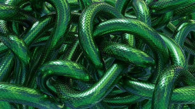 noeuds d'écailles ressemblant à un serpent vert fluo emmélé