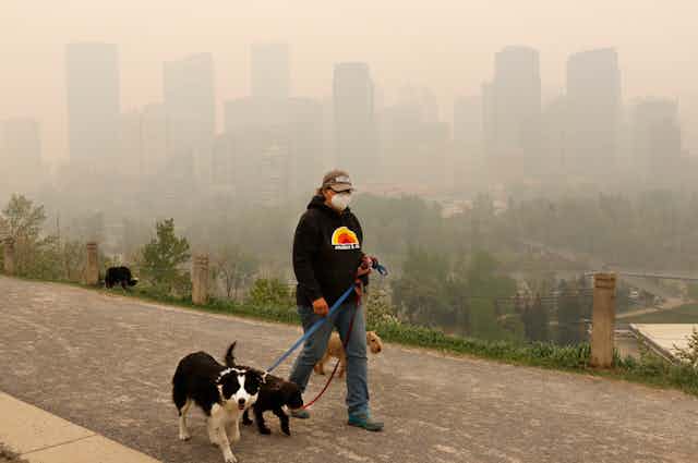 A dog walker wears a mask while walking three dogs through a thick smoky haze. Shrouded buildings are behind her.