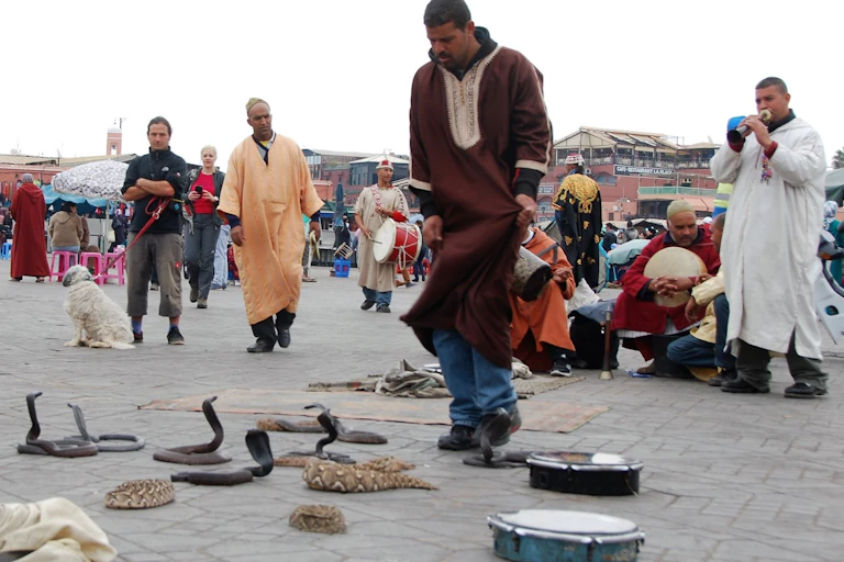 Charmeur de serpents à Marrakech