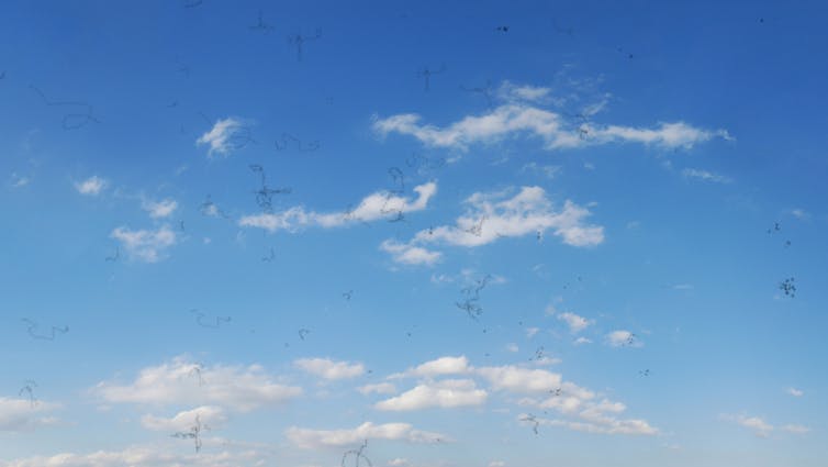 Eye floaters seen against a cloudy sky.