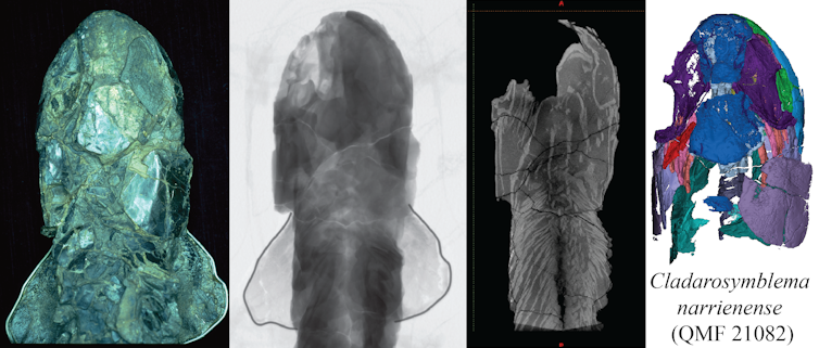 Four images showing stages of creating a 3D model of a fossil fish