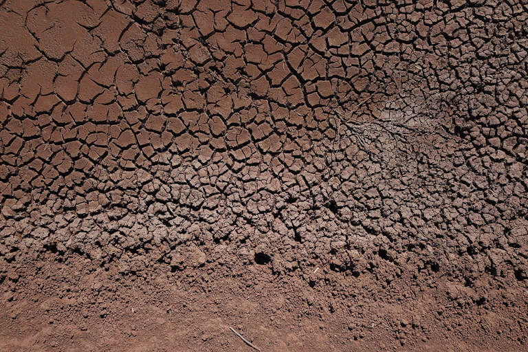 cracked earth