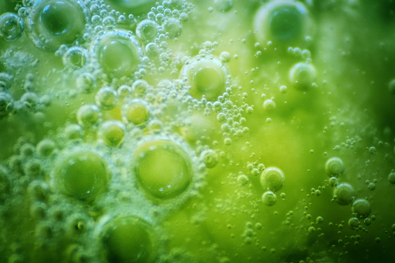 Bubbles, Abstract variation on theme of life originated in water 3.8 billion years ago.