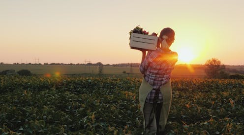 Food prices are rising but farmers' profits are still small – here's why