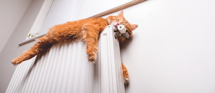 A ginger cat sleeping on top of a radiator.