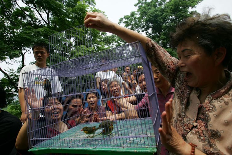 A group of people crowds around a hand-held cage with small green birds inside.