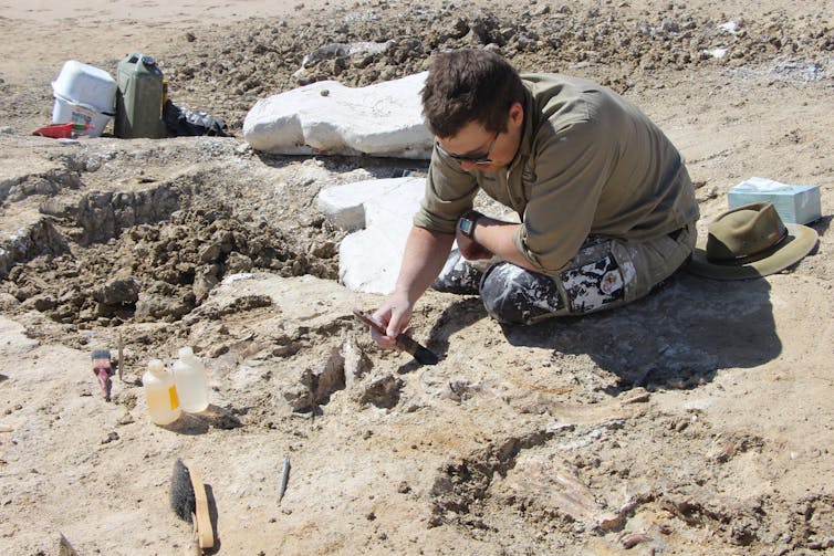 A man digging up fossils
