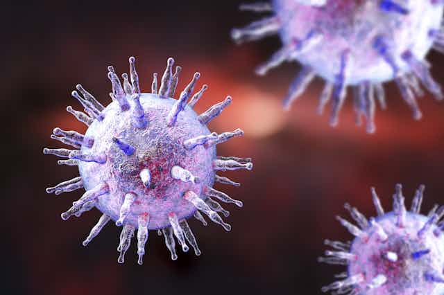 An illustration of the Epstein-Barr virus.