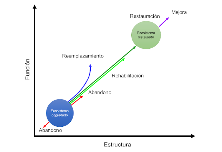 Diferentes opciones para recuperar un ecosistema degradado.