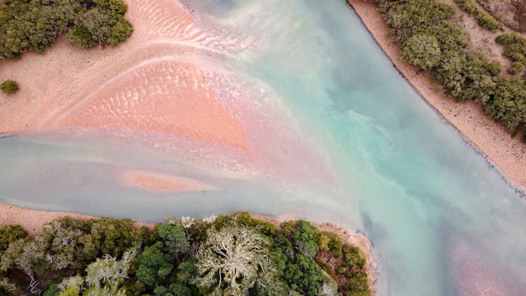 coastal ecosystem