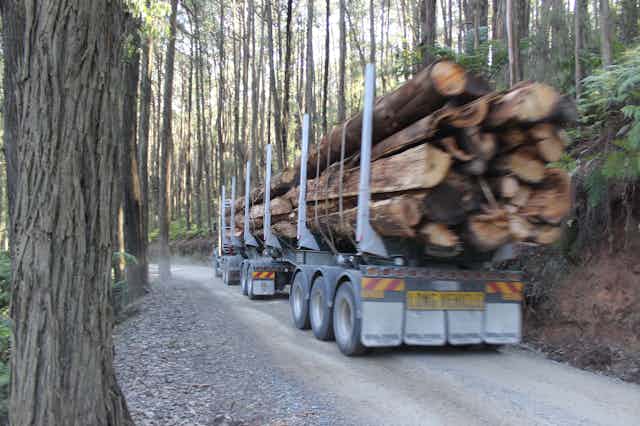 logging truck 