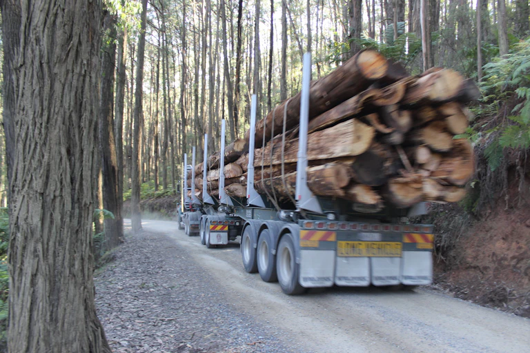 logging truck