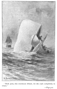 A black-and-white illustration of a sperm whale crunching a whaling boat in its jaws.