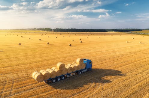five ways stronger UK supply chains can help reduce rising food costs