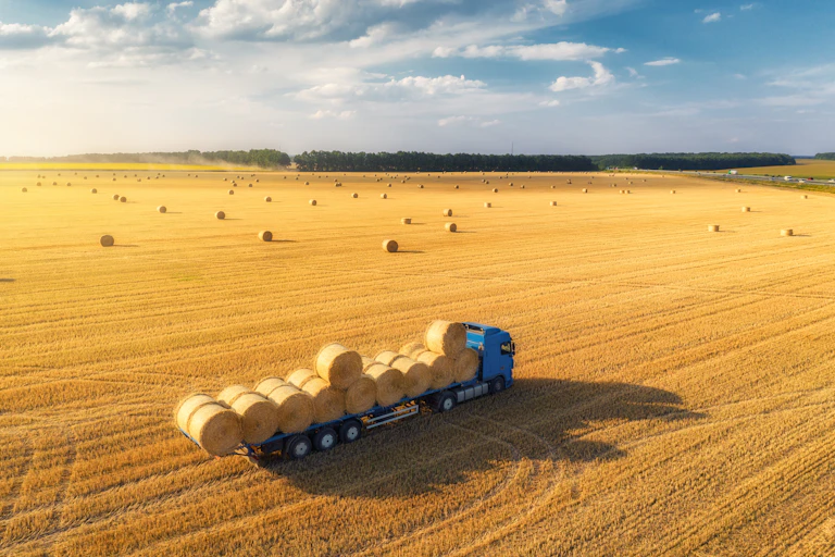 Aerial view of bales of hay on truck with trailer, field with bales of hay in the background..