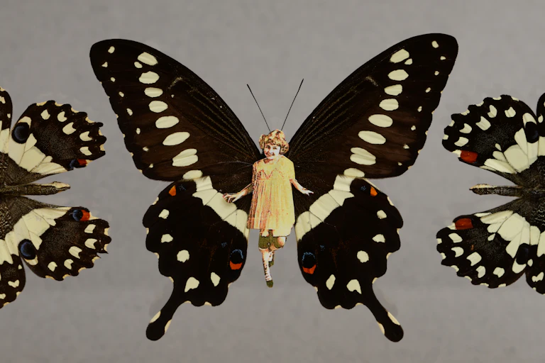 Girl with butterfly wings