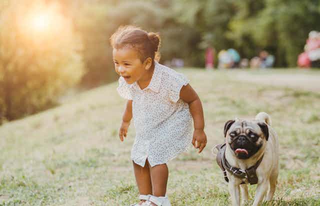 A girl seen standing and laughing next to a pug dog. 