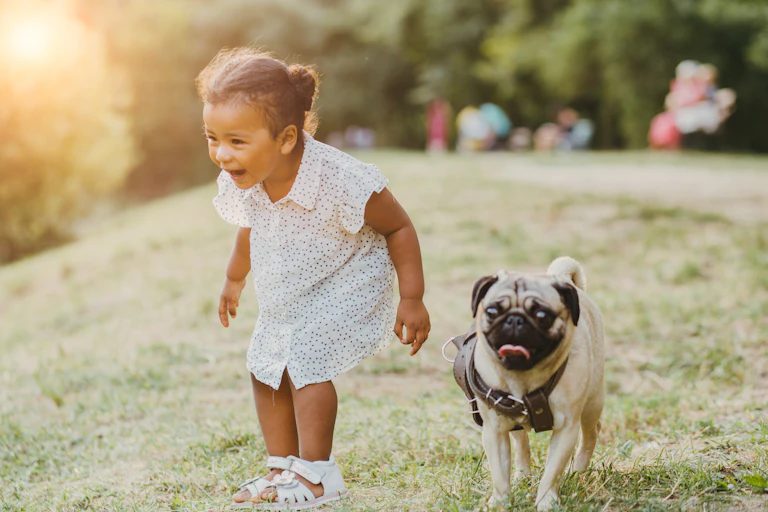 A girl seen standing and laughing next to a pug dog.