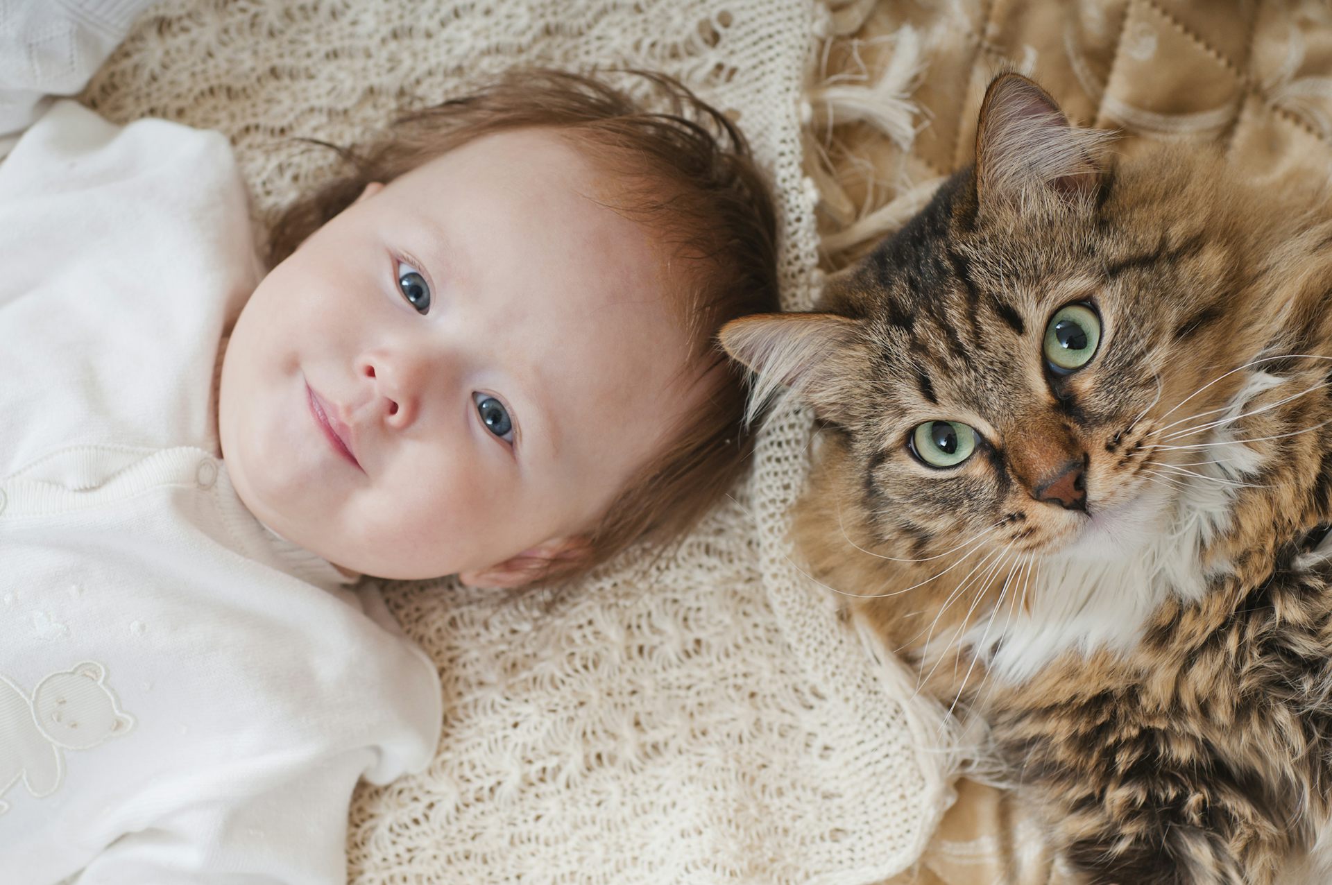 A baby next to a cat.