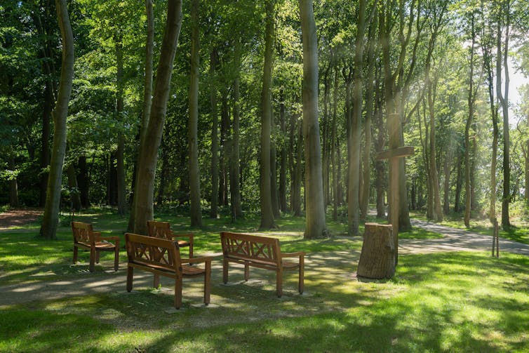 Benches in a clearing of a green burial forest