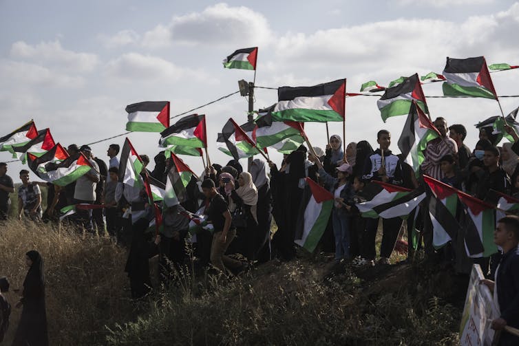 أشخاص في حقل يلوحون بالأعلام الفلسطينية.