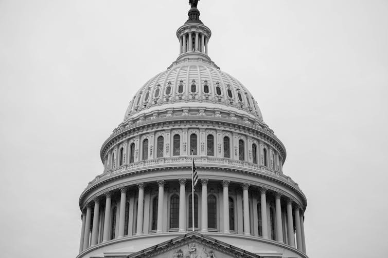 The dark grey dome of the U.S. Capitol Building against a light grey sky.