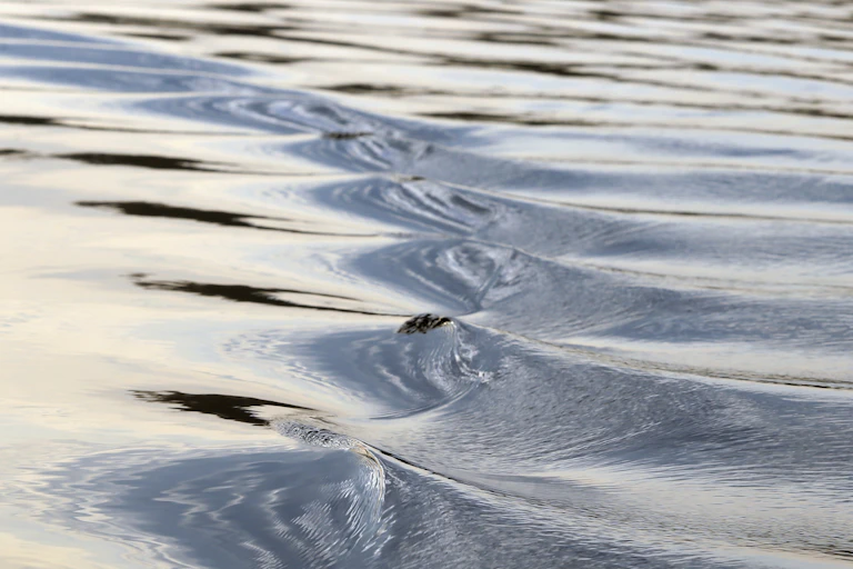 A photo showing ripples on the surface of water.