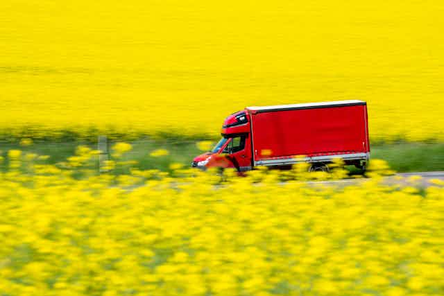 A red delivery truck in a field of yellow flowers.