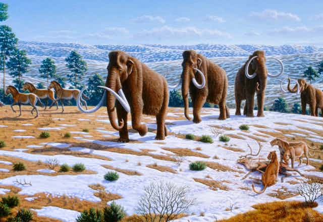 artist's rendering of wooly mammoths and other animals on a snowy landscape