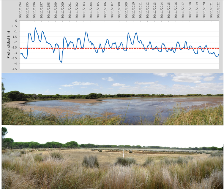 Above: values of the piezometer located next to the Zahillo pond. The red line marks the bottom of the pond. Until 2011, there were years when the pond did not dry up in summer. Since 2012, the pond has not reached the previous maximum levels, and