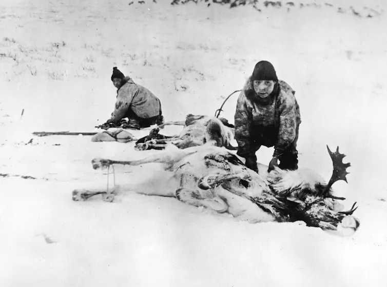 black and white 1924 photo of two Inuit hunters with caribou carcass