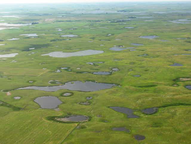 Aerial view of prairie pothole lakes