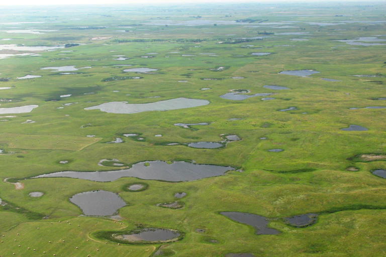 Aerial view of prairie pothole lakes