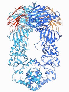 drawing depicting a tangle of red, blue and yellow curly and straight lines