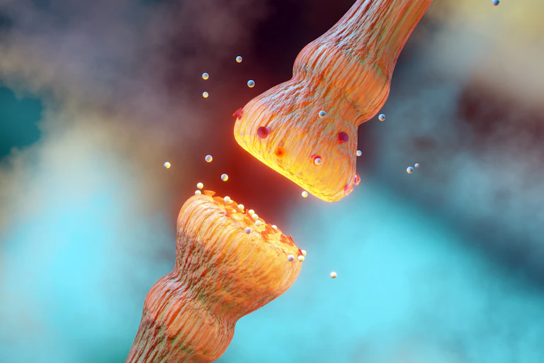 Illustration of neurotransmitters moving between synapses