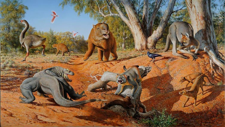 Reconstructions of common Australian megafauna in an open bush setting