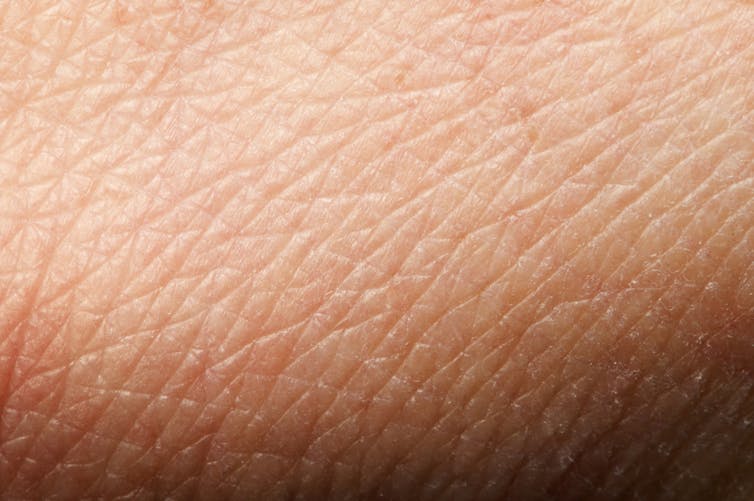 Close-up of skin wrinkles