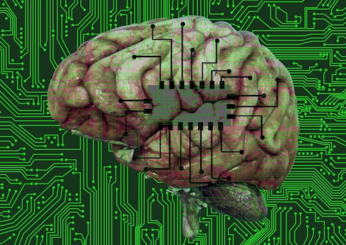 Has more brains. Изучение мозга. Человеческий мозг и чип. Мозг компьютера. Органоидный интеллект.