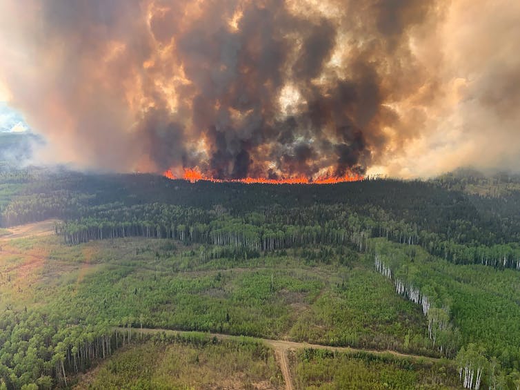 A orange line of fire with billowing clouds of brown smoke on the horizon with forest in the foreground.