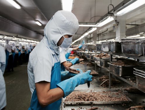 Australia's modern slavery law is woefully inadequate – this is how we can hold companies accountable