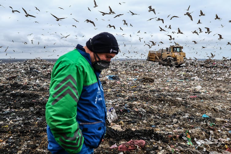 A refuse worker surrounded by rubbish, seagulls and a bulldozer.