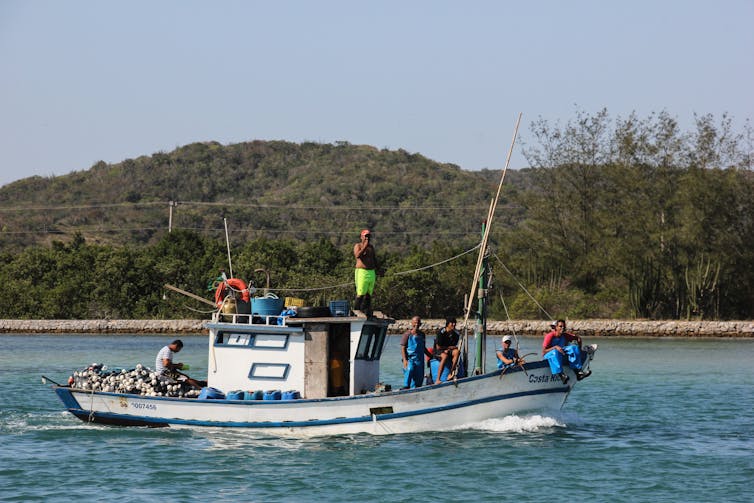 Five people on a small boat near shore