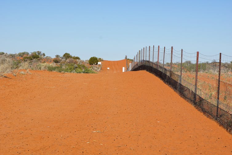 wire fence on red earth
