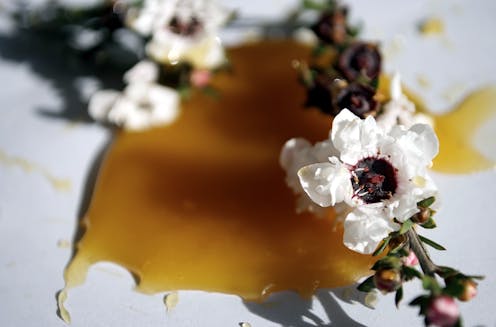 How NZ's own law helped Australia win the Manuka Honey trademark war