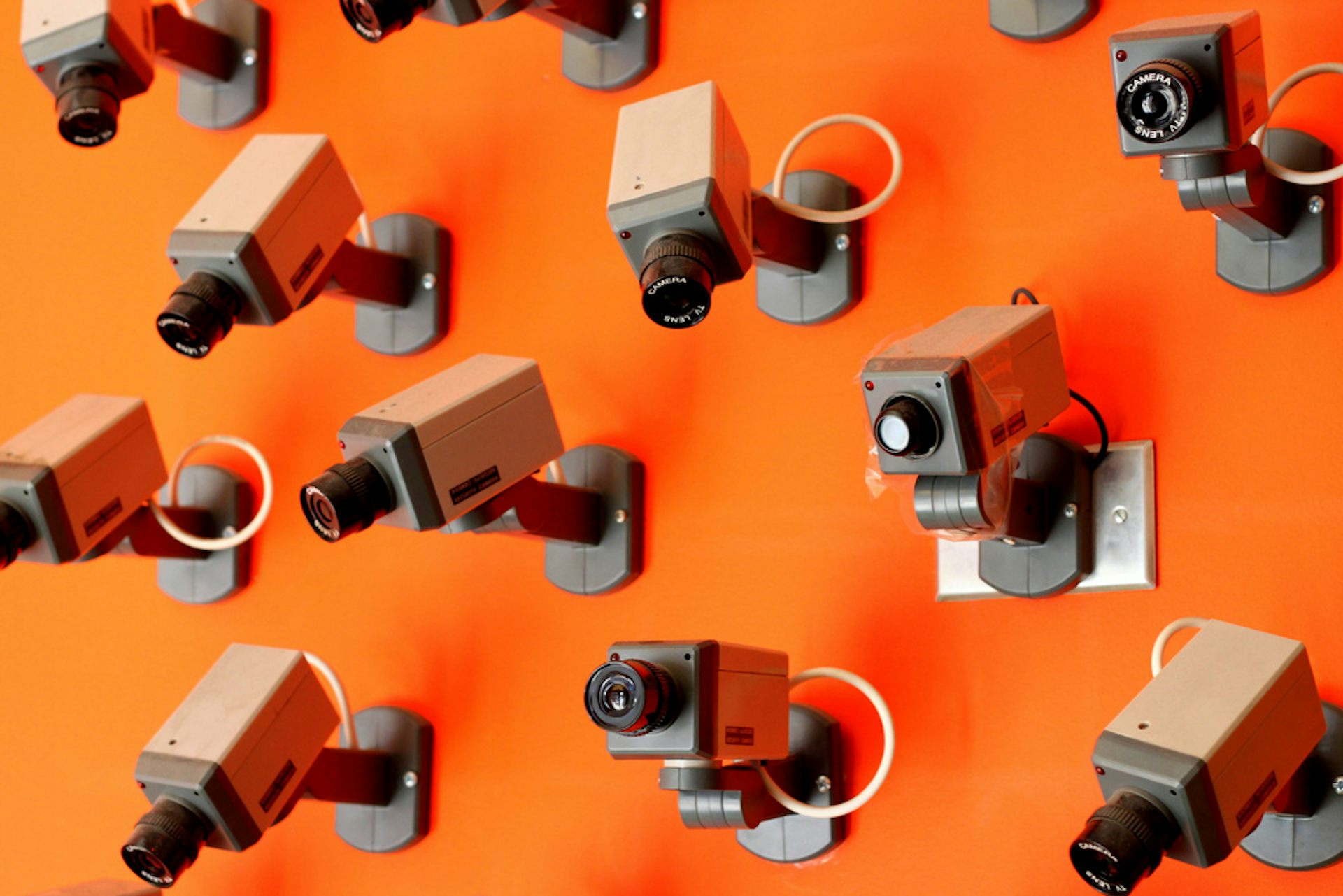 Why constant surveillance is necessary in a society built on selfinterest