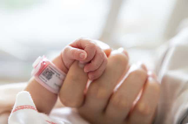 Newborn baby hand holding its mother's hand